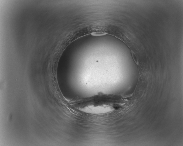 X0000058810817200509301231