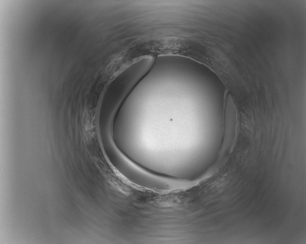 X0000058810818200509301231