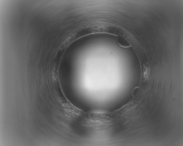 X0000058810819200509301231