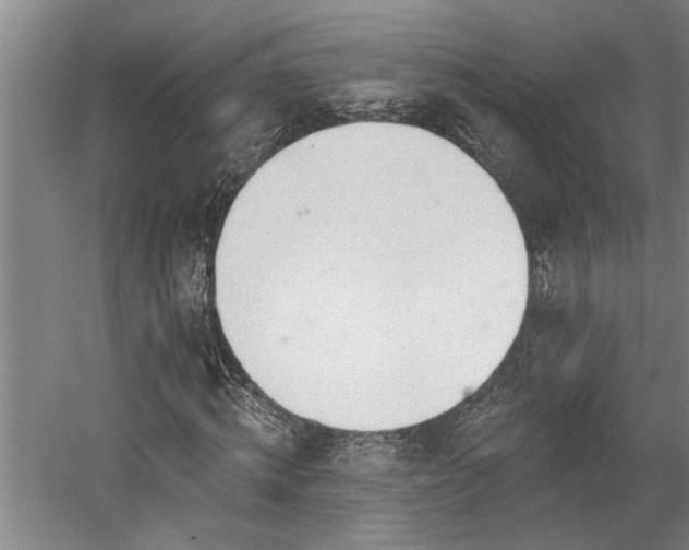 X0000058810820200509301231