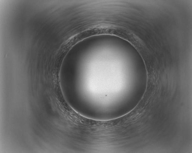 X0000058810821200509301231