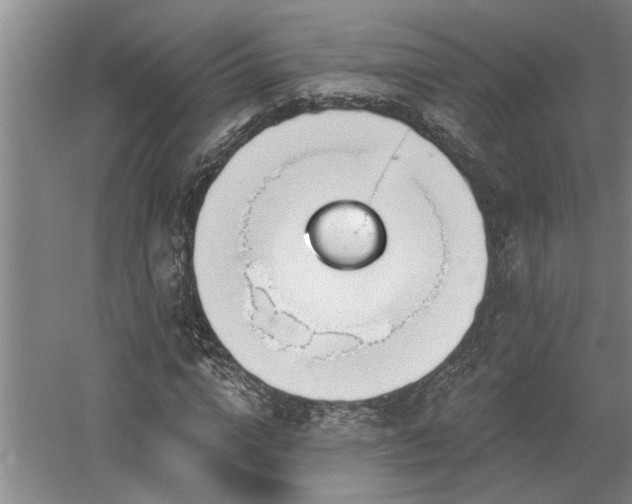 X0000058810824200509301231