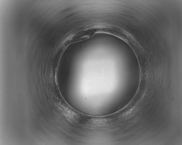 X0000058810825200509301231