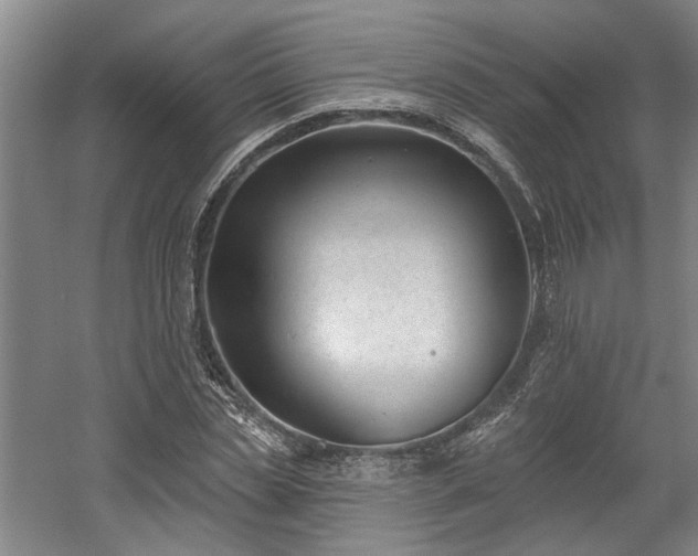 X0000058810829200509301231