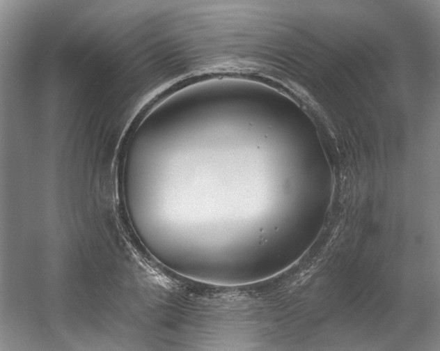 X0000058810838200509301231