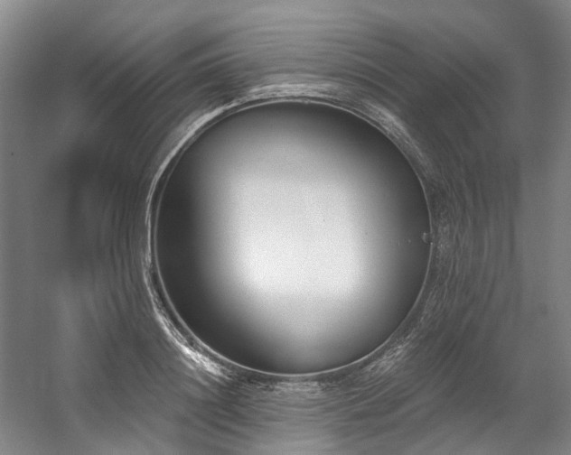 X0000058810844200509301231