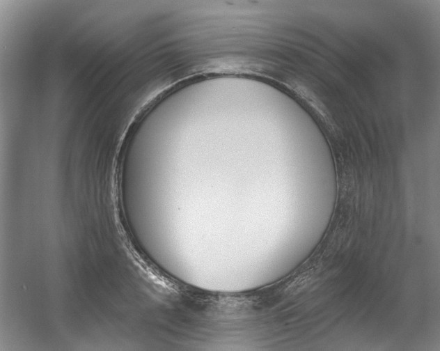 X0000058810848200509301231