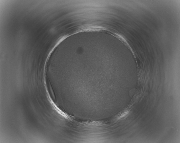 X0000058810851200509301231