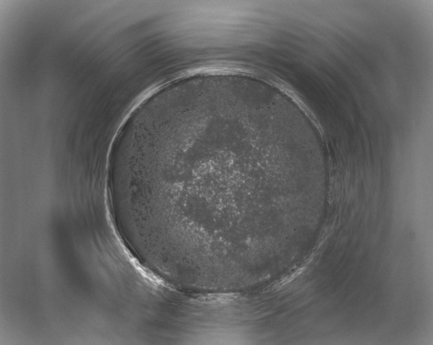 X0000058810853200509301231