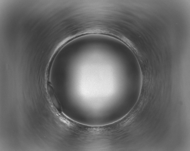 X0000058810854200509301231