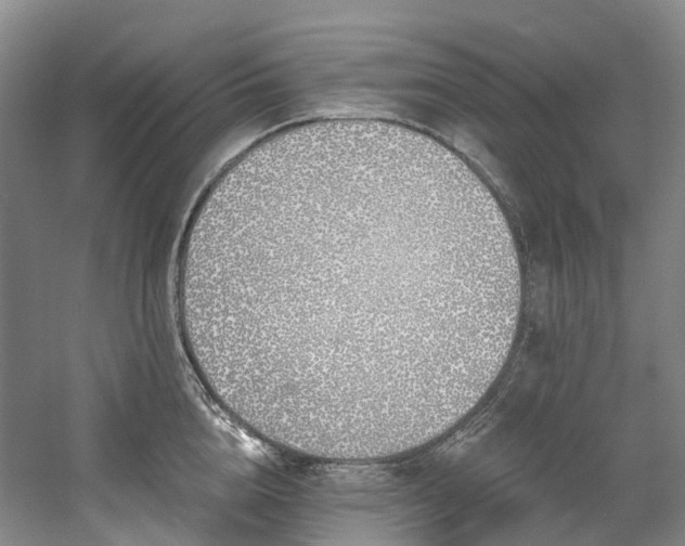 X0000058810856200509301231