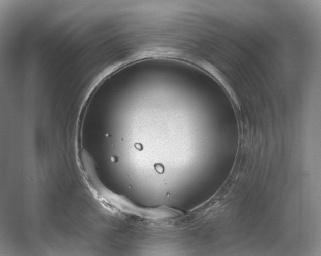 X0000058810861200509301231