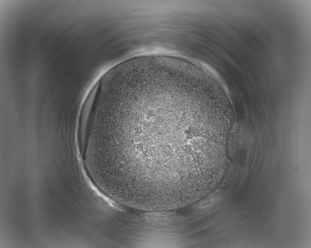 X0000058810863200509301231