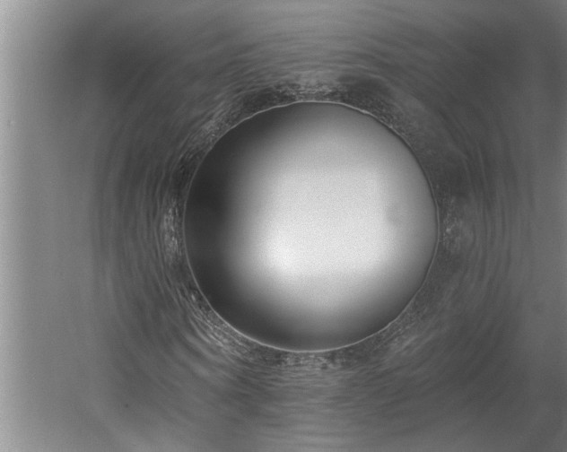 X0000058810866200509301231