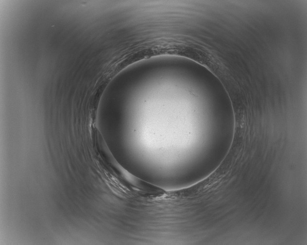 X0000058810868200509301231