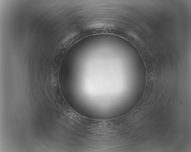 X0000058810869200509301231