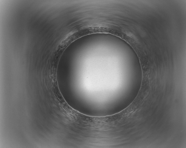 X0000058810870200509301231