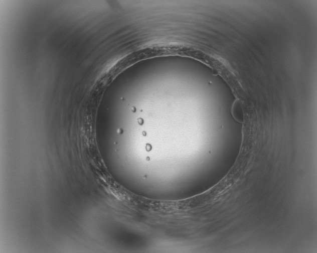 X0000058810871200509301231