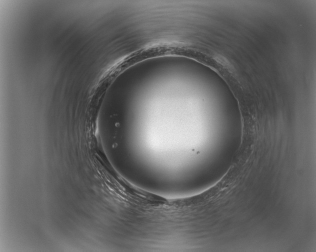 X0000058810872200509301231