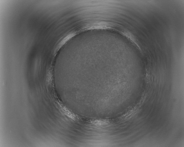 X0000058810874200509301231