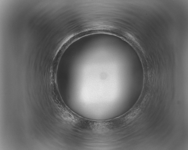 X0000058810875200509301231