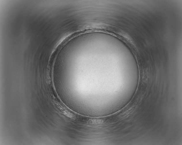 X0000058810878200509301230