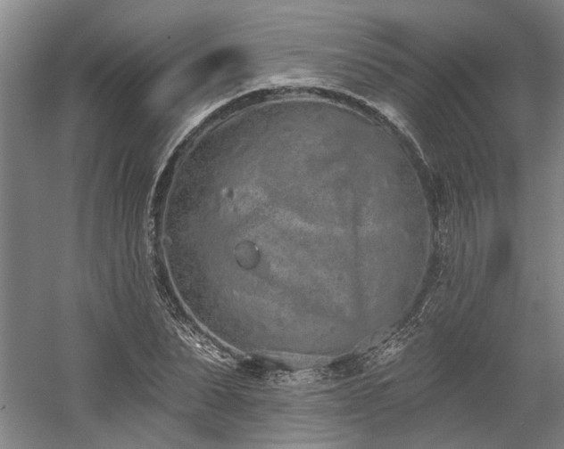 X0000058810879200509301230