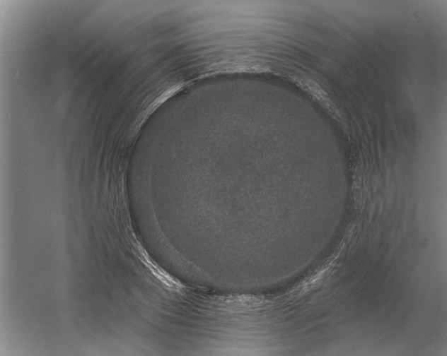 X0000058810881200509301230