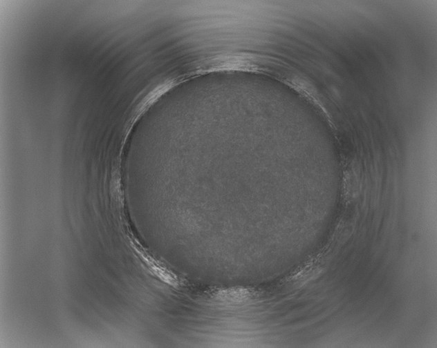 X0000058810882200509301230