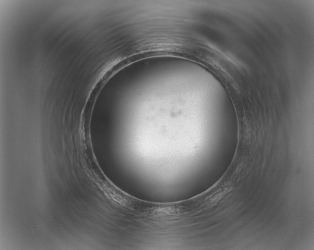 X0000058810883200509301230