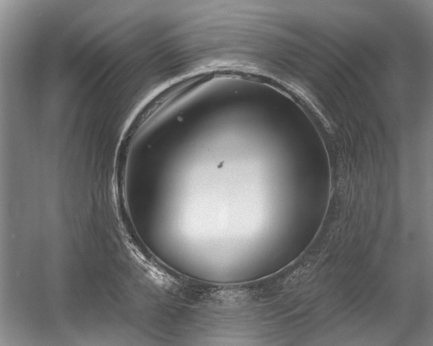 X0000058810888200509301230