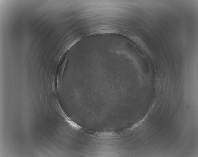 X0000058810889200509301230