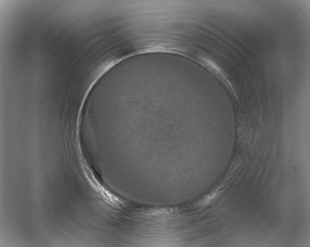 X0000058810892200509301230