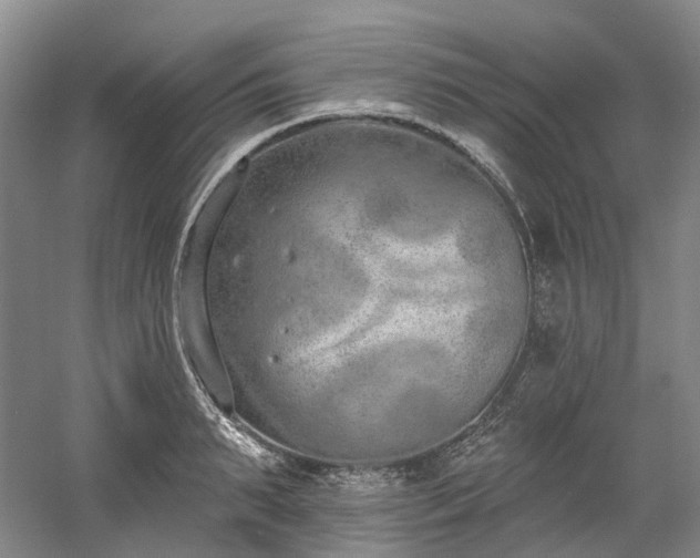 X0000058810895200509301230