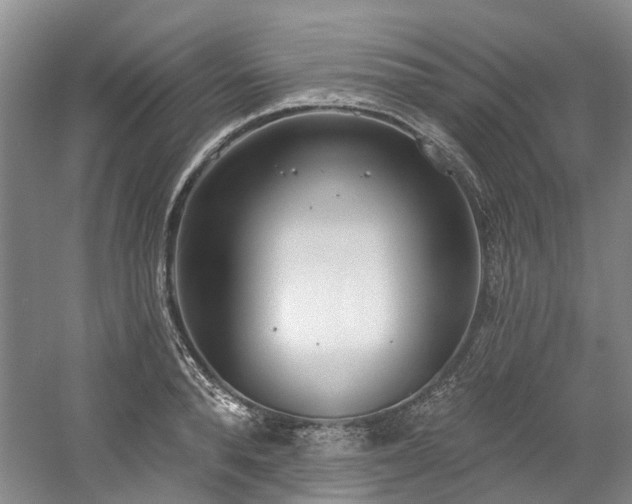 X0000058810896200509301230