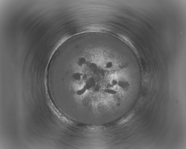 X0000058810899200509301230