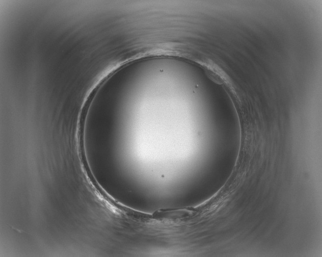 X0000058810902200509301230