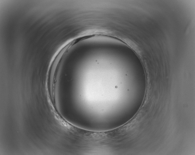 X0000058810912200509301230