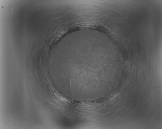 X0000058810913200509301229