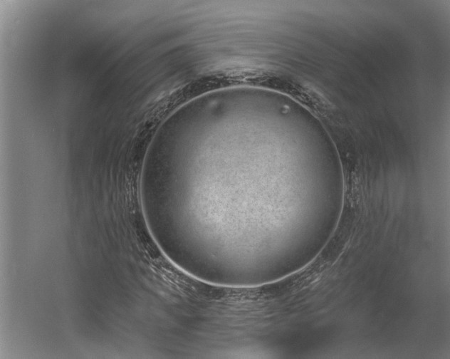 X0000058810917200509301229