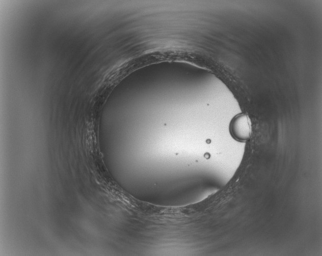 X0000058810918200509301229