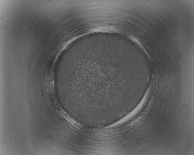 X0000058810923200509301229