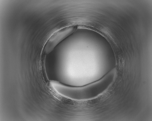 X0000058810924200509301229