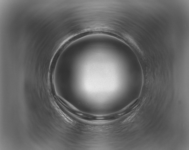 X0000058810932200509301229