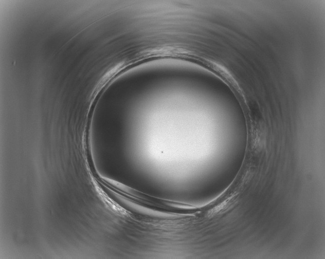 X0000058810946200509301230