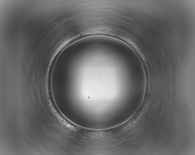 X0000058810949200509301230