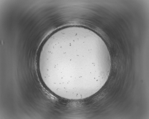 X0000058810950200509301230