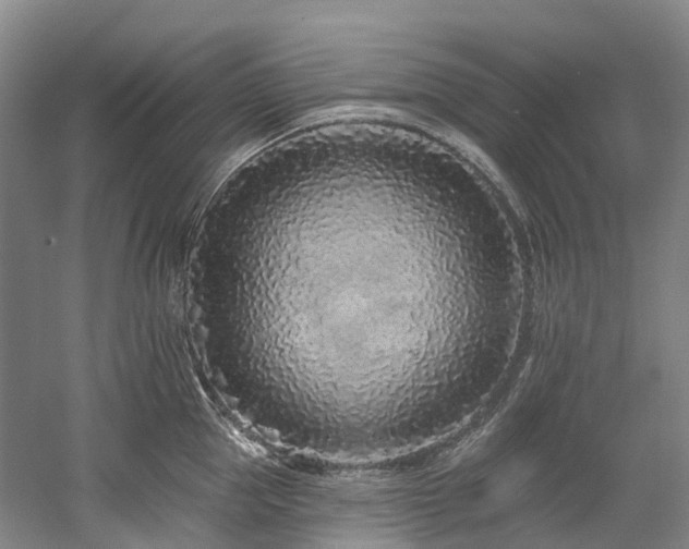 X0000058810953200509301230