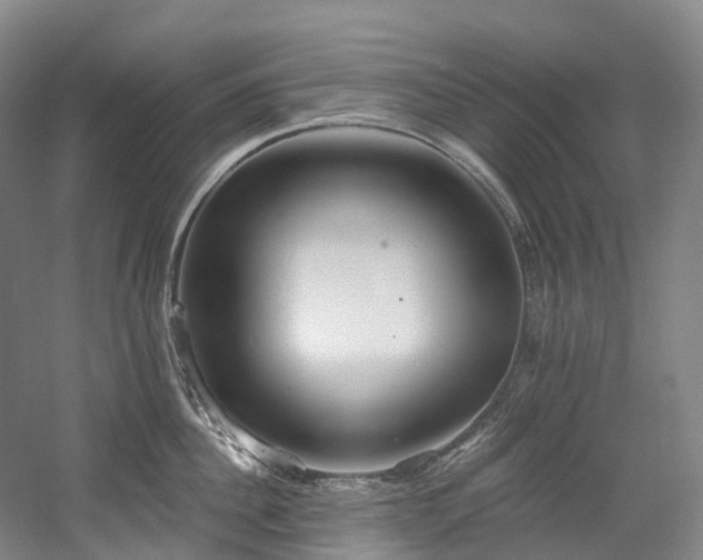 X0000058810956200509301230