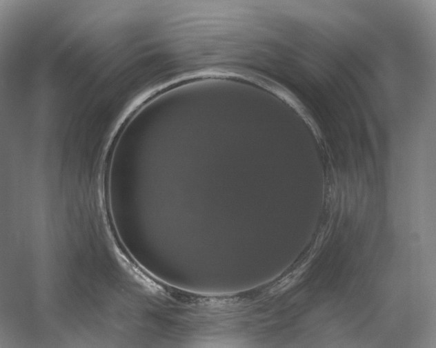 X0000058810958200509301230